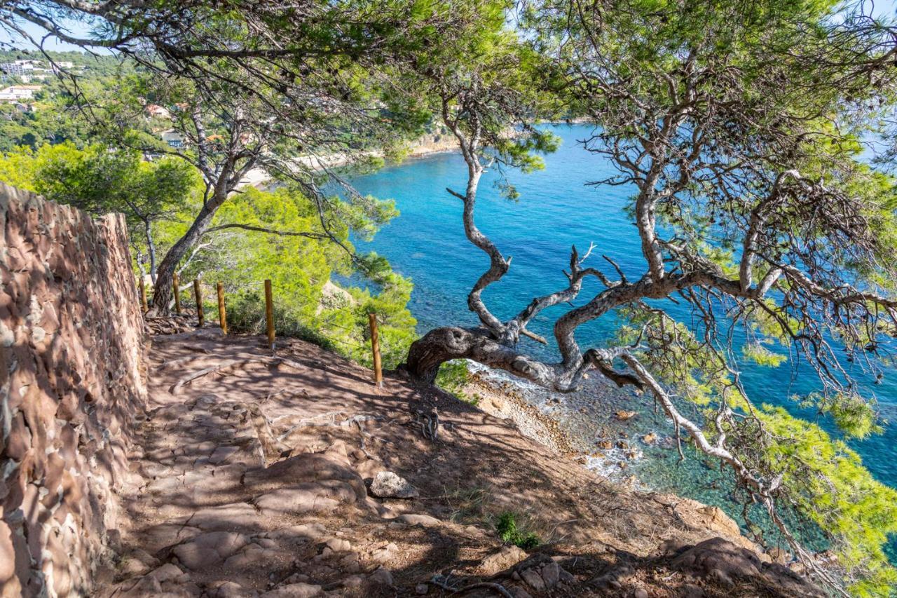סן-מנדרייה-סור-מר Bas De Villa Jardin Plein Sud Proche Mer Clim-Wifi מראה חיצוני תמונה